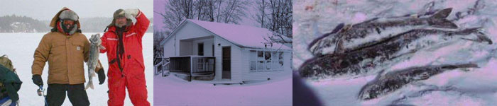 Birch Lodge on Granary Lake Blind River Ontario image Birch Lodge Blind River Ontario